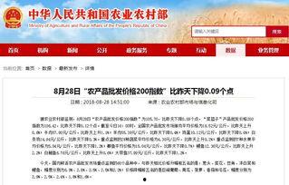 今日菜价爆料新闻视频,蔬菜价格波动，市民生活受影响