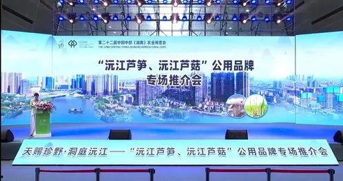 沅江新闻爆料网官网,聚焦本土热点，传递民生声音